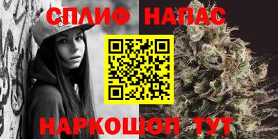 стаф Гусиноозёрск