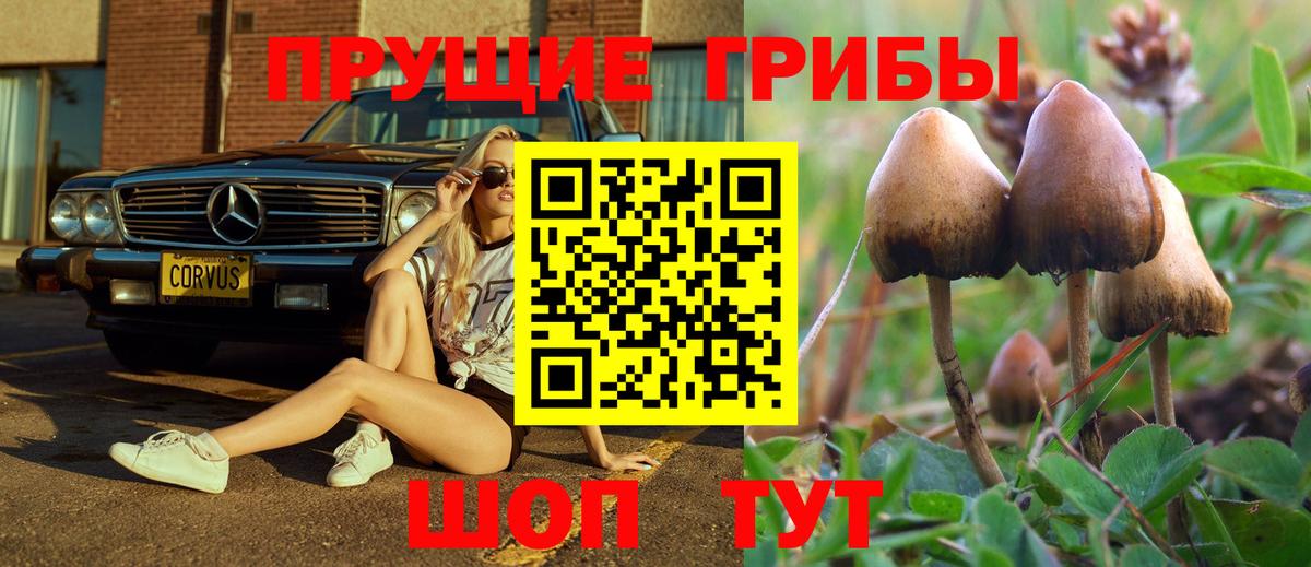 Псилоцибиновые грибы ЛСД Лабинск