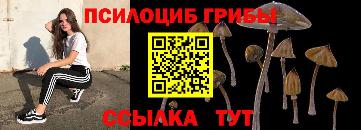где продают   Псилоцибиновые грибы Psilocybe  Вход с VPN  Лабинск 